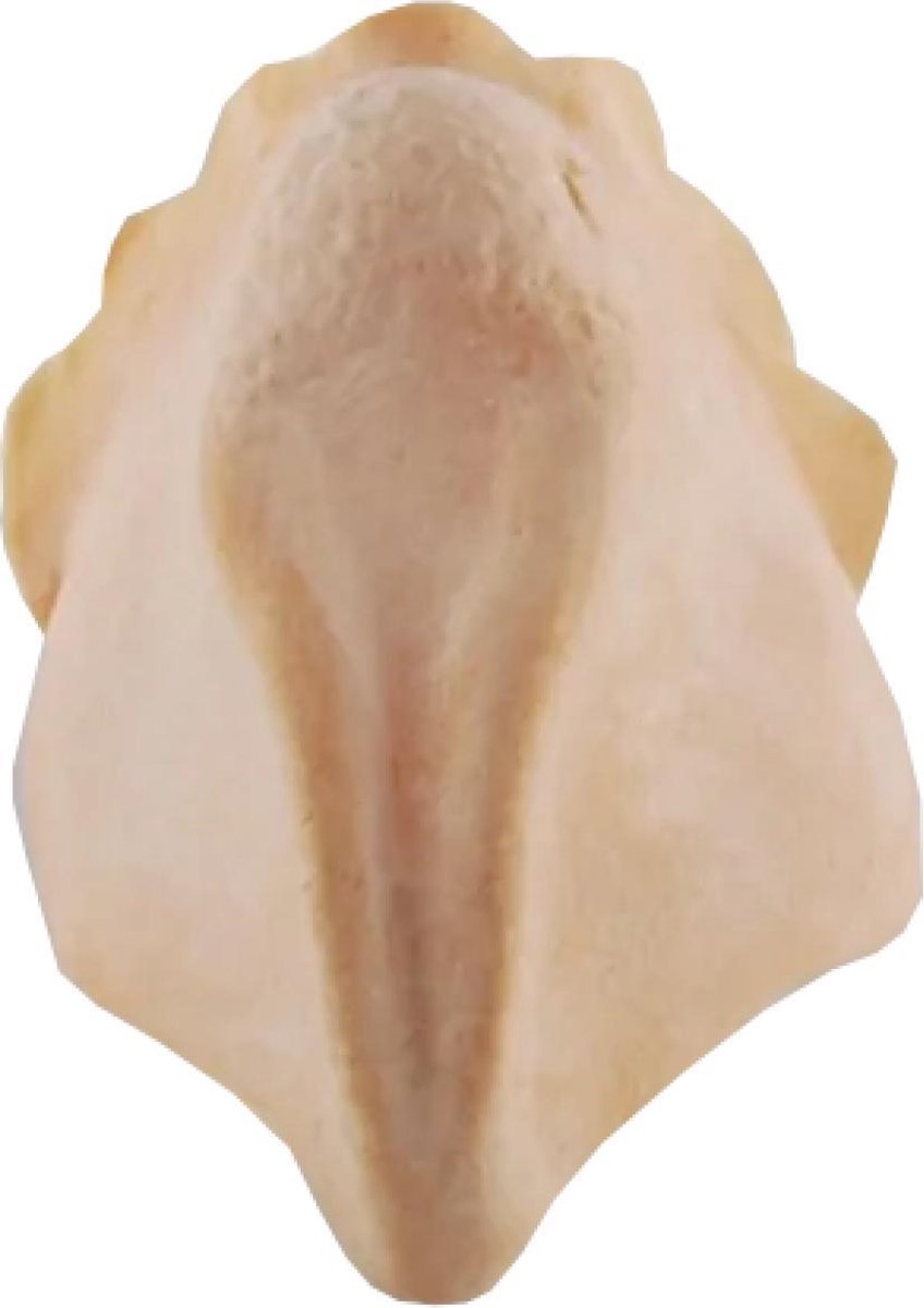 Grimas - Latex snavel - Vogel - 20