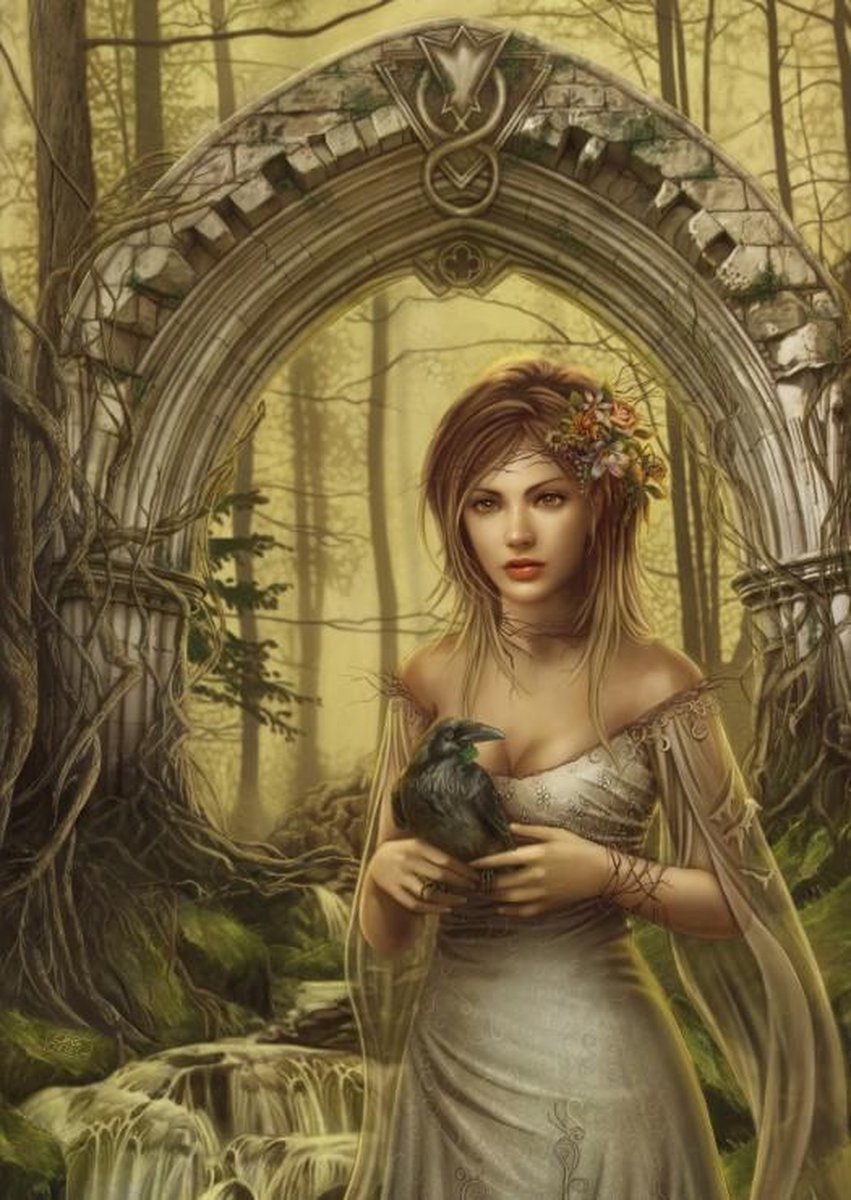 Grafika puzzel Cris Ortega Gate of Destinies 1000 stukjes