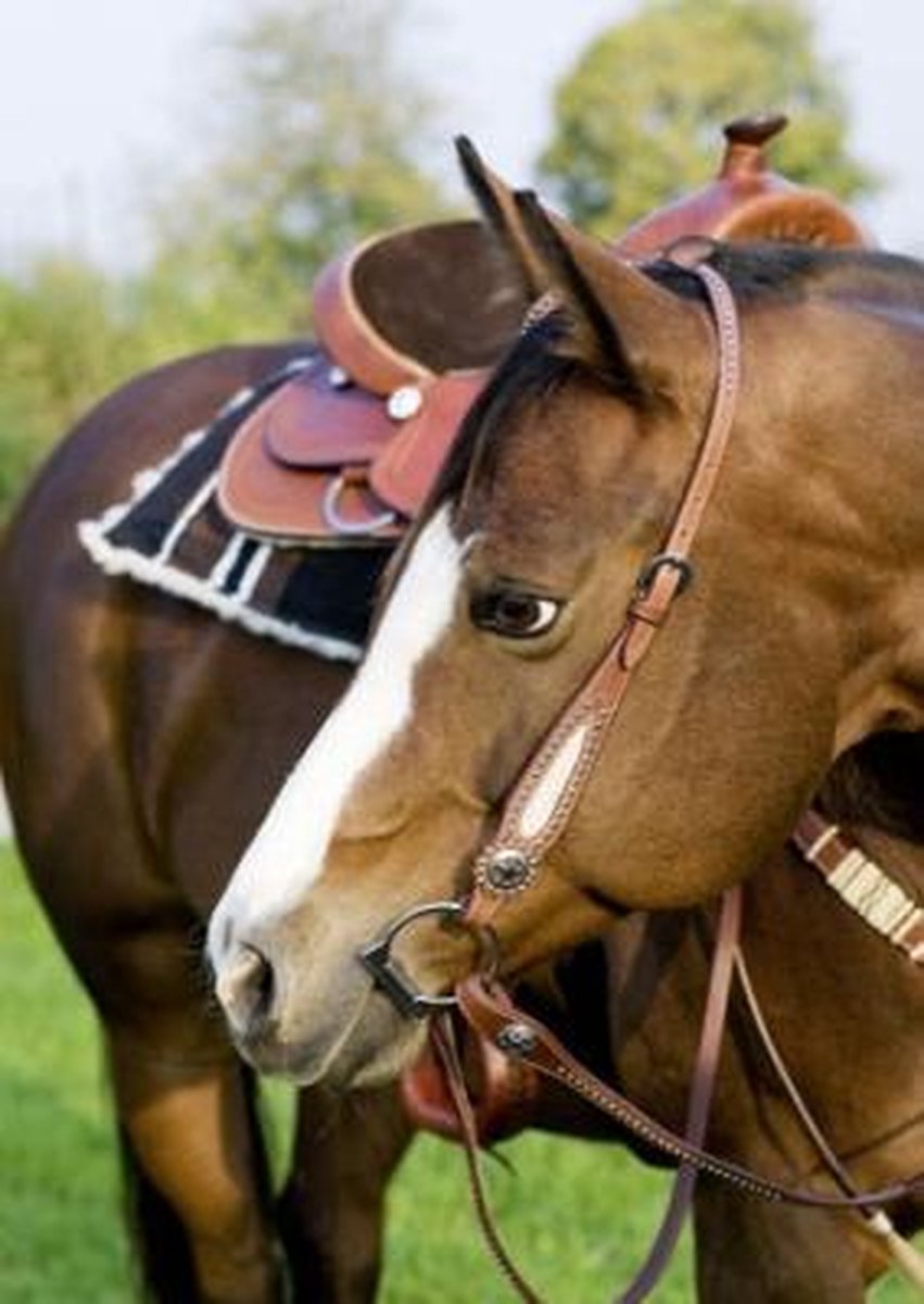 Eenoorkopstuk -Dots- met koeienhuid donkerbruin Pony