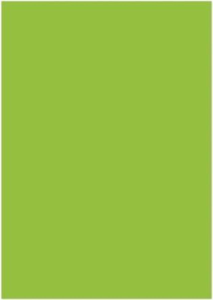 Papier Kangaro A4 120grs groen - pak 100 vel
