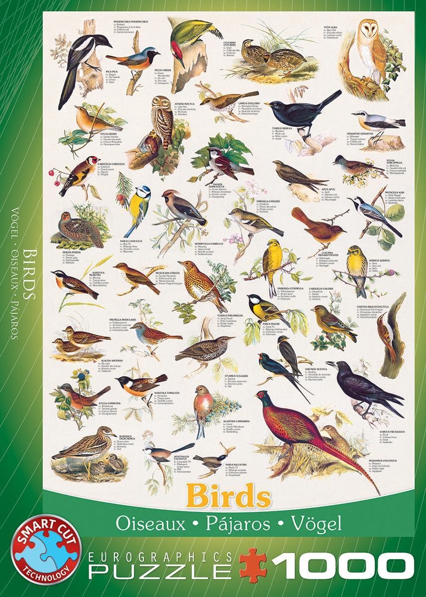 Puzzel - Birds (1000)