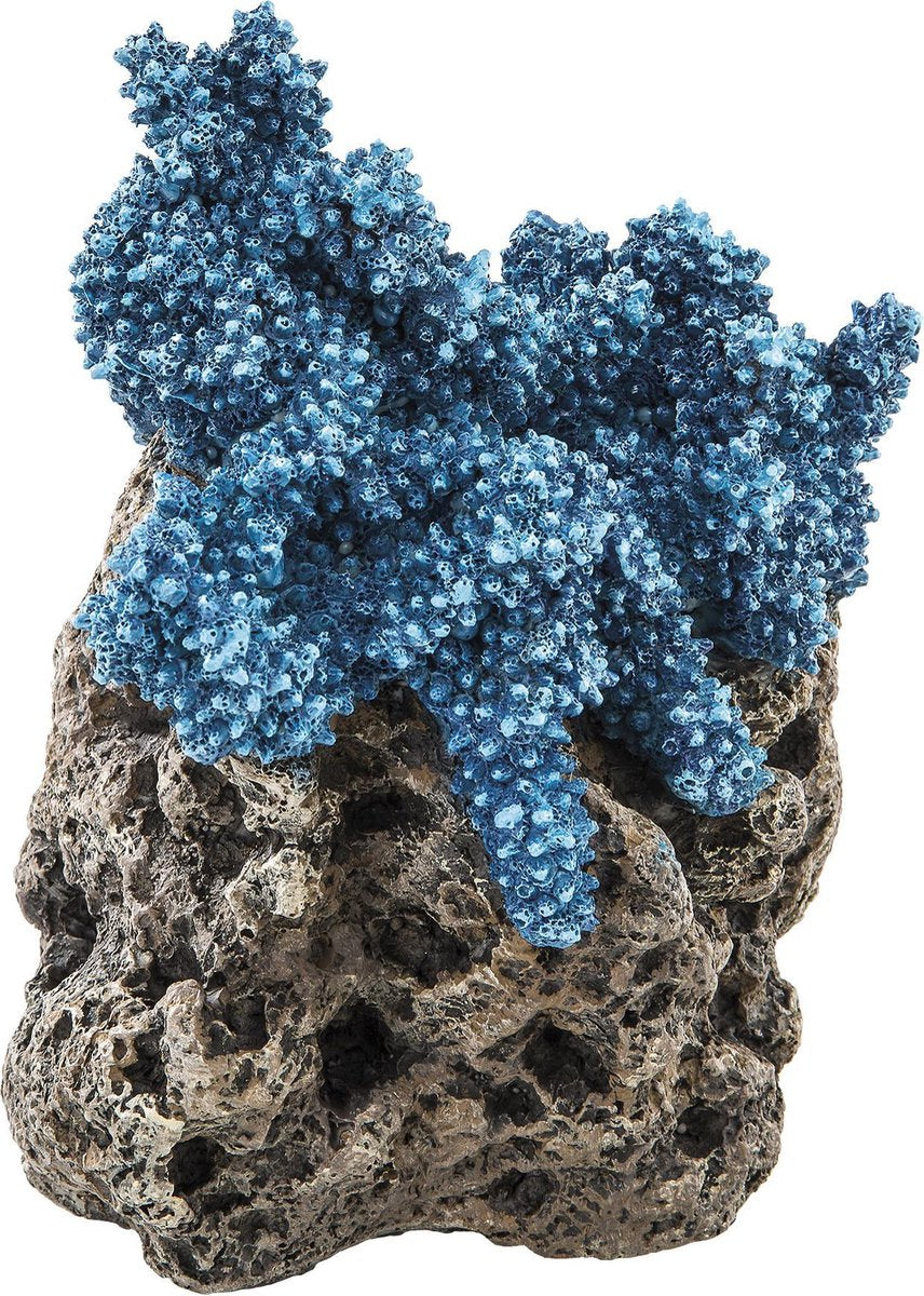 Ferplast aquarium decoratie koraal blauw blu 9134