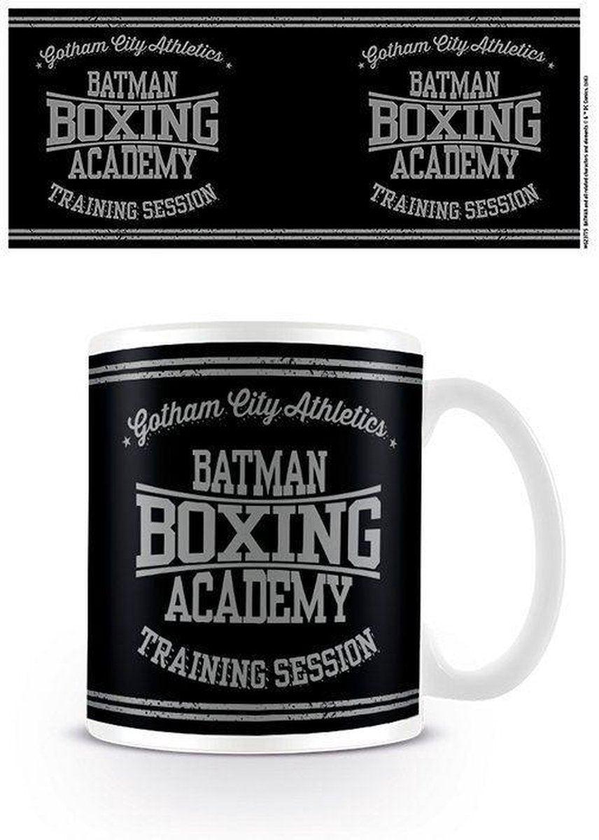 DC Comics Batman Boxing Academy Mok