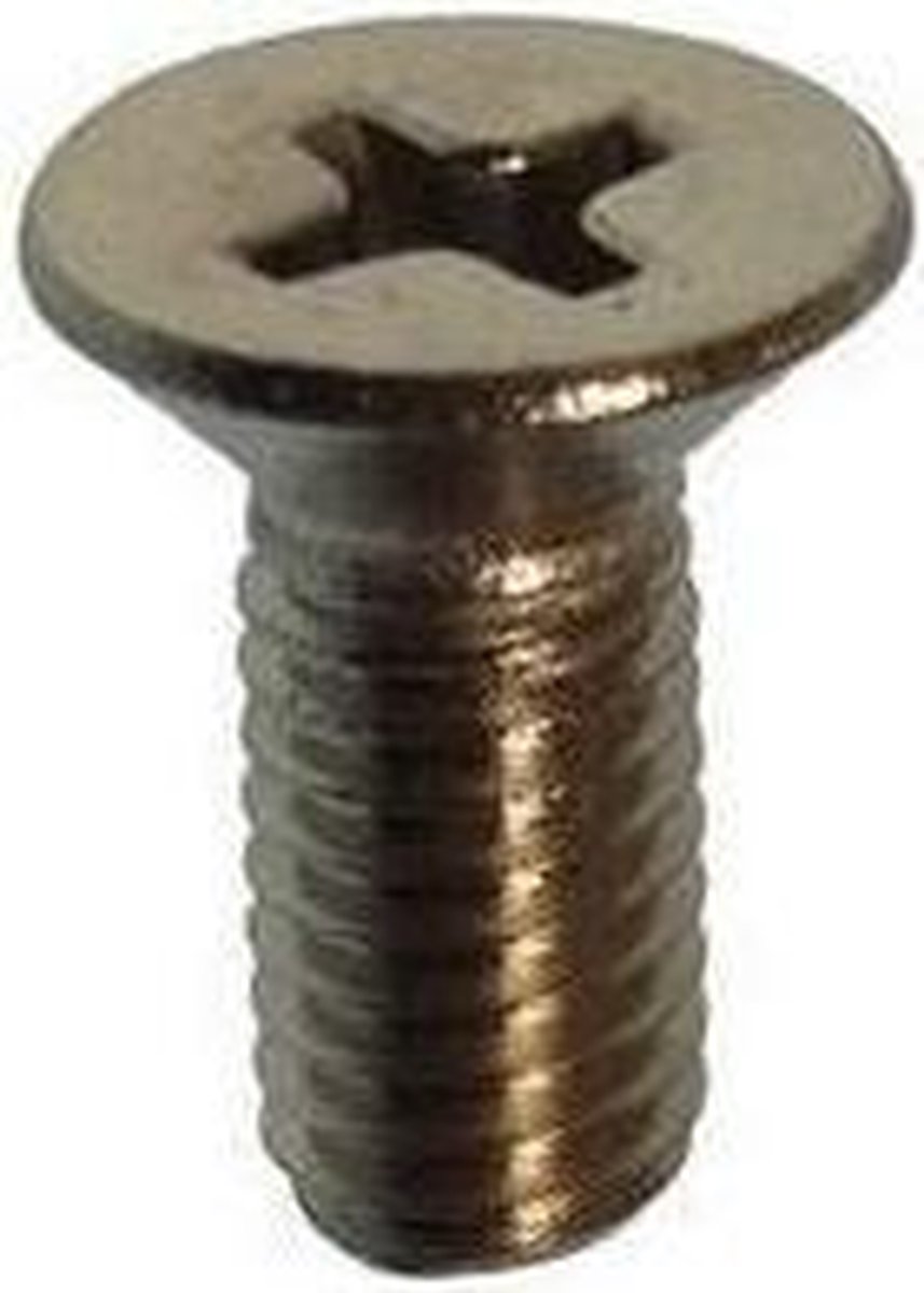 Parsun Screw Pan Head M5X12 (PAGB/T819.2-M5X12)