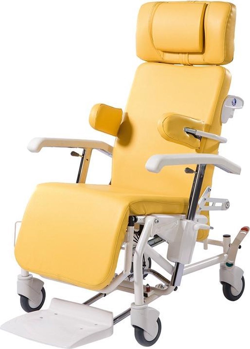 Alesia geriatrische rollende stoel