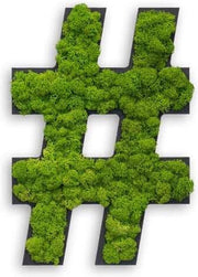Stylegreen Special character - Hashtag - Reindeer moss