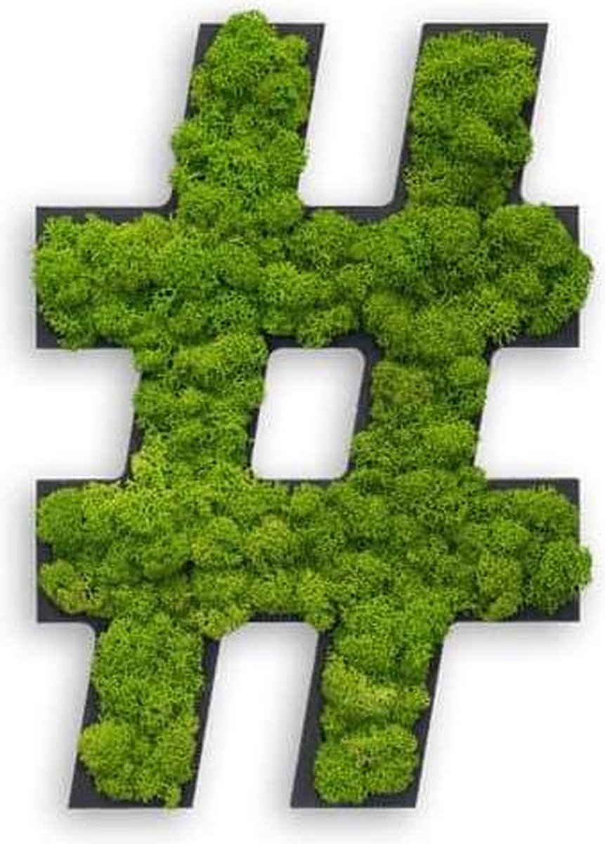 Stylegreen Special character - Hashtag - Reindeer moss