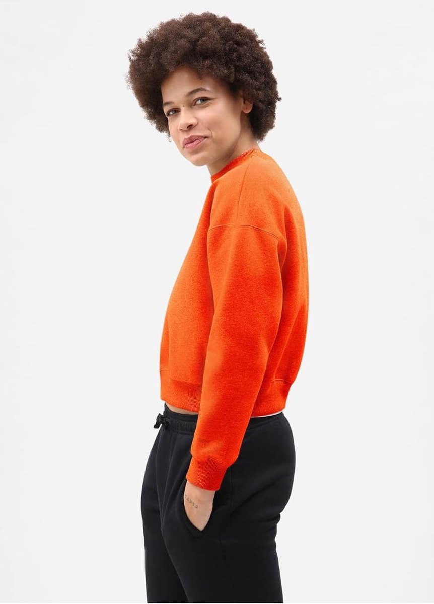 Dickies Dames Ferriday Trui Oranje