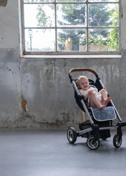Wallabiezzz - Inlegkussens - Buggy inleg - Buggykussen - Birds Blue