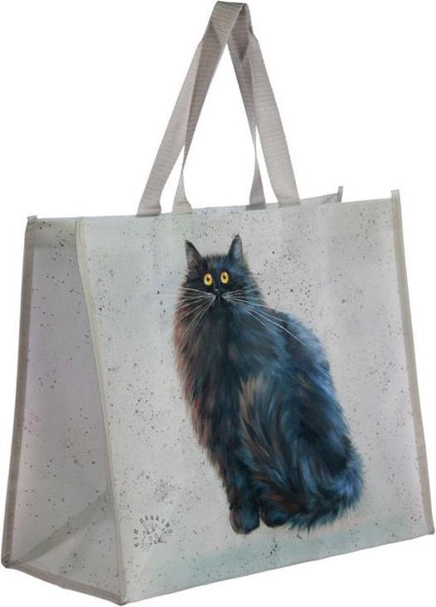 Boodschappentas - Kim Haskins - Zwarte Kat