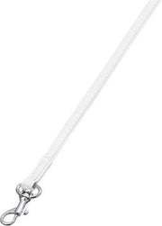 Paris leash