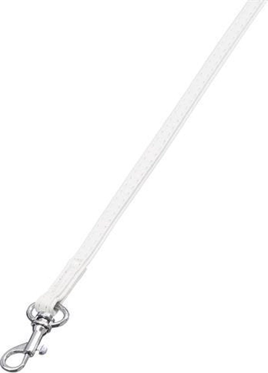 Paris leash