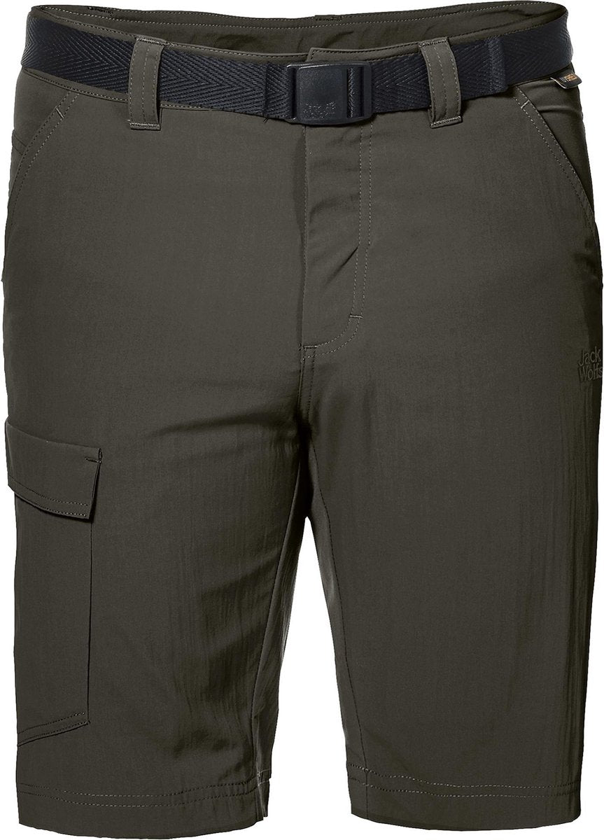 Jack Wolfskin Hoggar Shorts Shorts Dark Moss Men