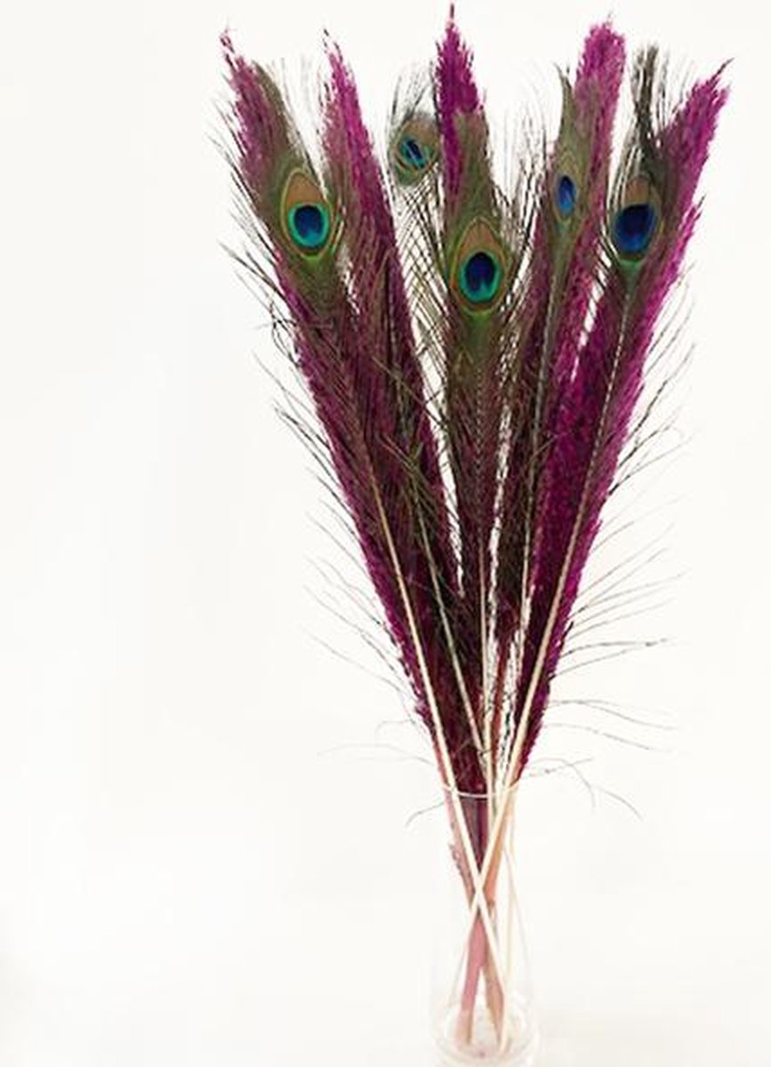 Pampasgras Berry | Pampas pluimen Berry | Pampas pluimen Berry gedroogd | 5 Rietpluimen Berry gecombineerd met 5 stuks pauwenveren| Droogbloemen | 80 cm | 10 stuks