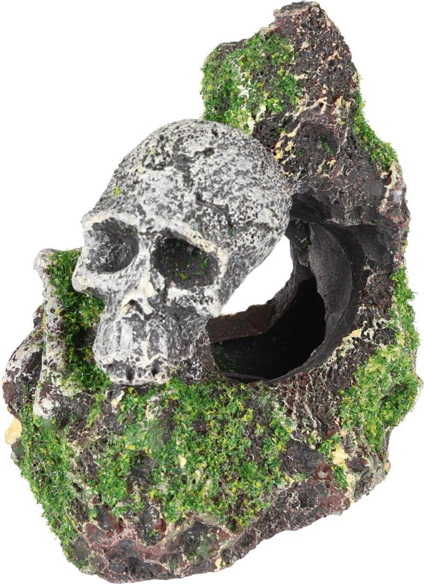 Aquarium decoratie Moza skelet + rots - 9 x 7 x 9 cm