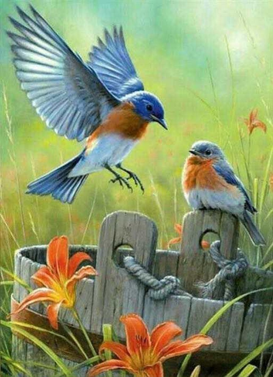 Vitamo™ Diamond Painting 40x50 cm - Compleet pakket - Vierkante steentjes - Volledige bedekking - Dieren - Bloemen en planten - Kleurrijke vogels