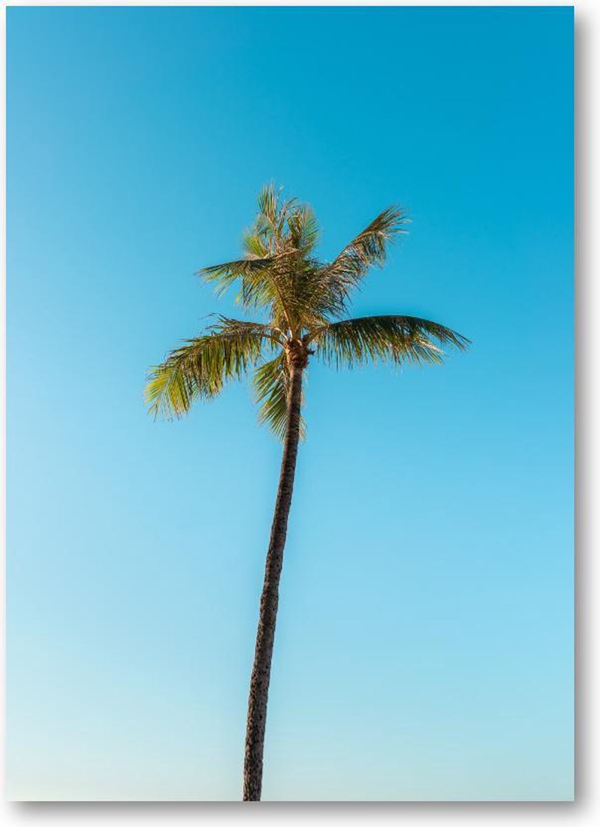 Low angle van een hoge palmboom onder een heldere hemel - 120 Stukjes puzzel voor volwassenen - Minimalist - Landschap - Natuur