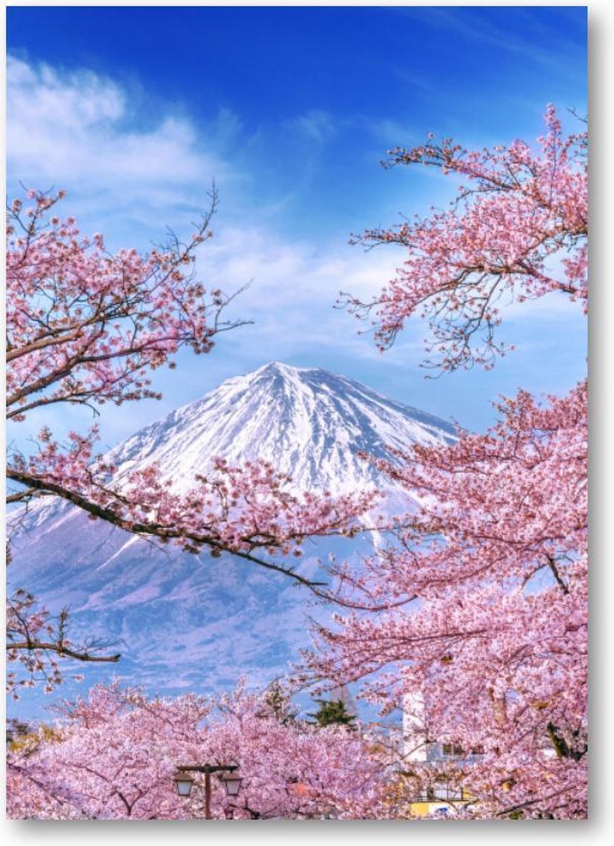 Fuji-berg en kersenbloesems in de lente