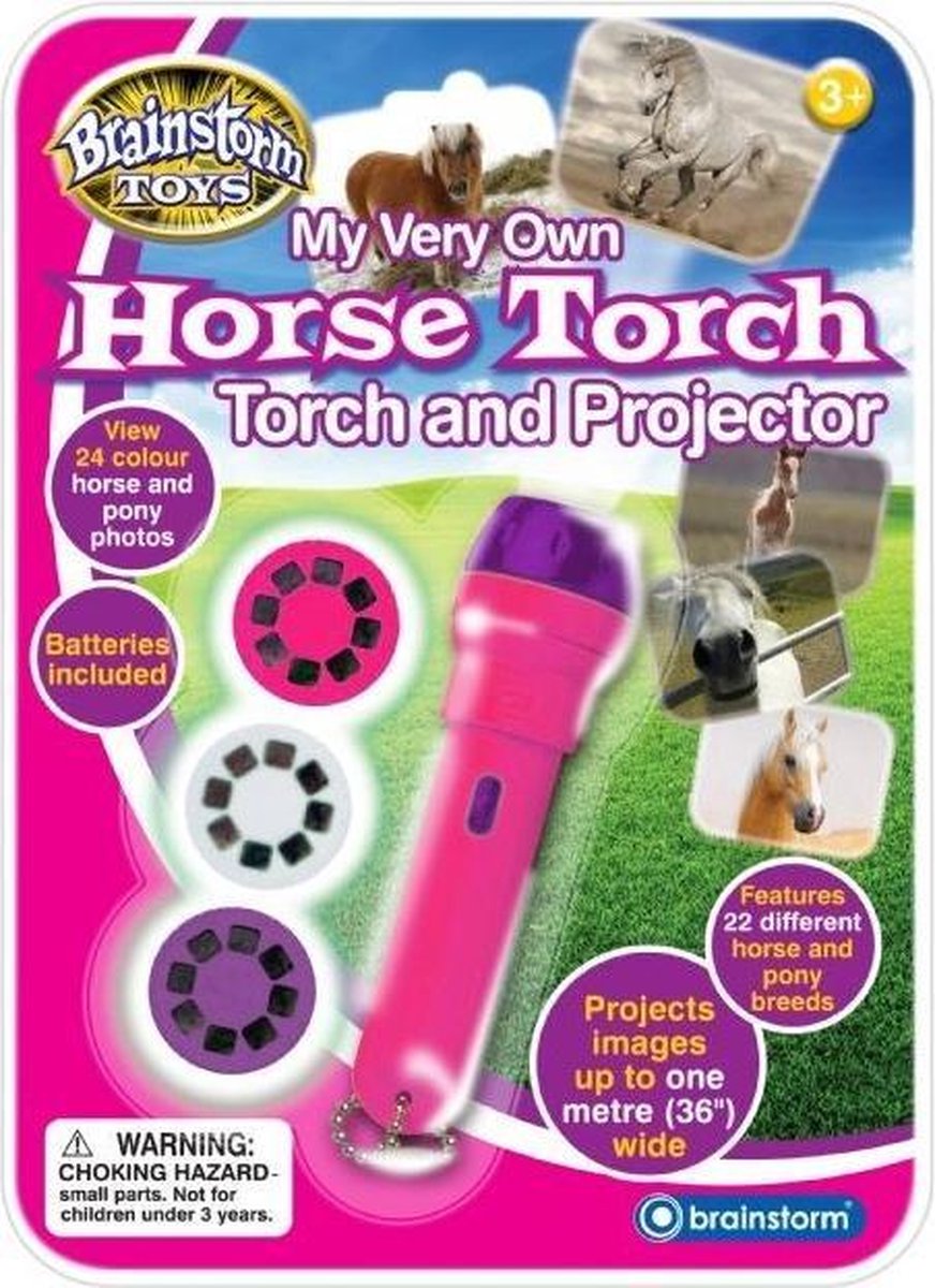 Brainstorm Horse Torch & Projector