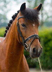 Eskadron - Ponydeken - fleece - rose - ponymaat S
