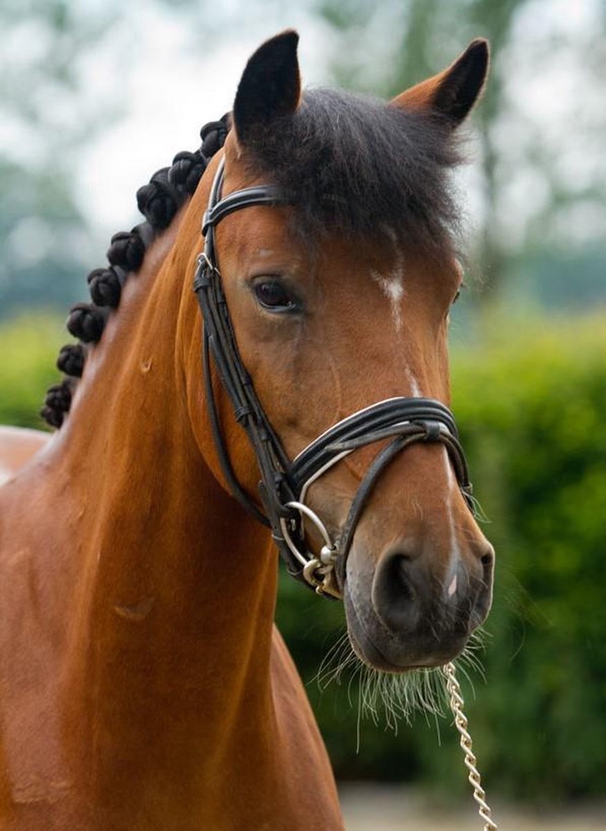 Eskadron - Ponydeken - fleece - rose - ponymaat S