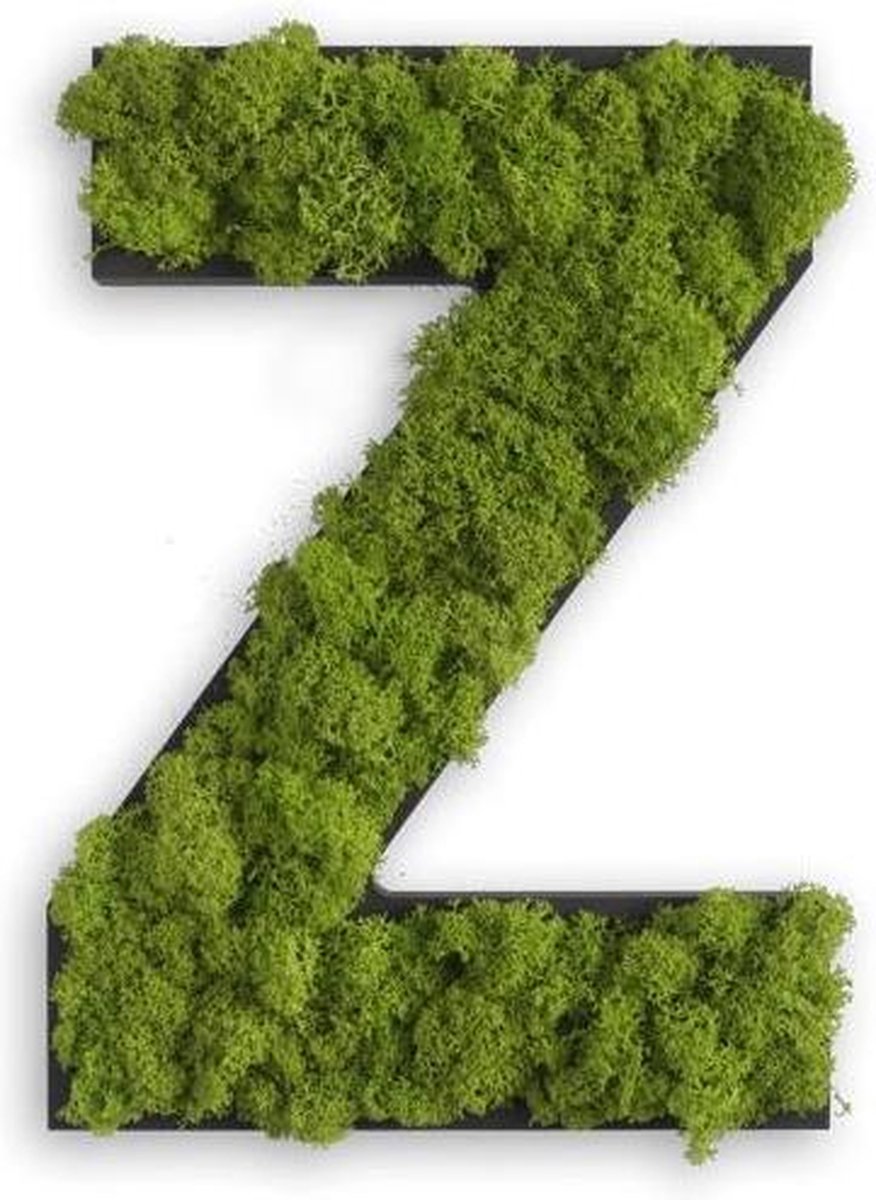 Stylegreen Alfabet letters A t/m Z - Reindeer moss - 25cm