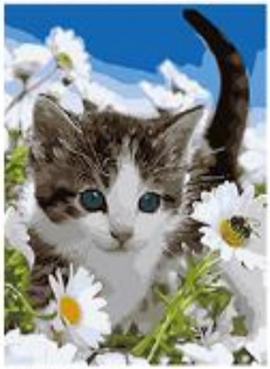 Schilderen op nummer dieren – 40 x 50 cm - Paint by number volwassenen – Nummer schilderen voor volwassenen - Hobby en creatief – Hobby materialen volwassenen - diy pakket volwassenen