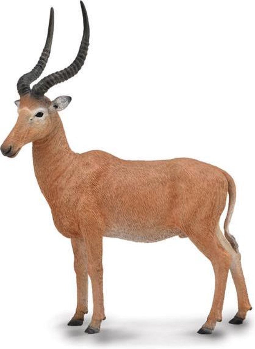 Collecta Antilope Wilde Dieren Hirola 9