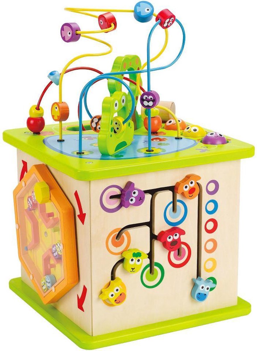 Hape Speelkubus - Educatief spel