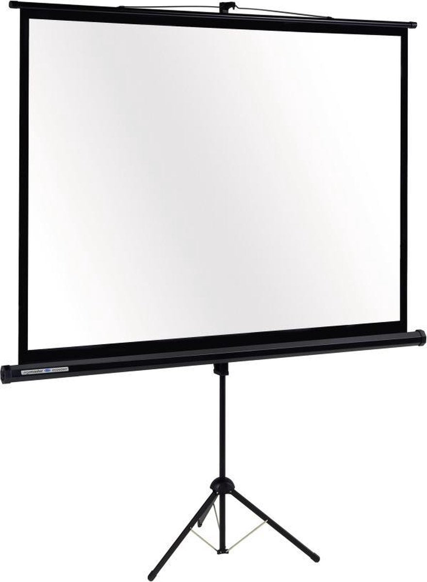 Legamaster ECONOMY mobiel projectiescherm 120x60cm