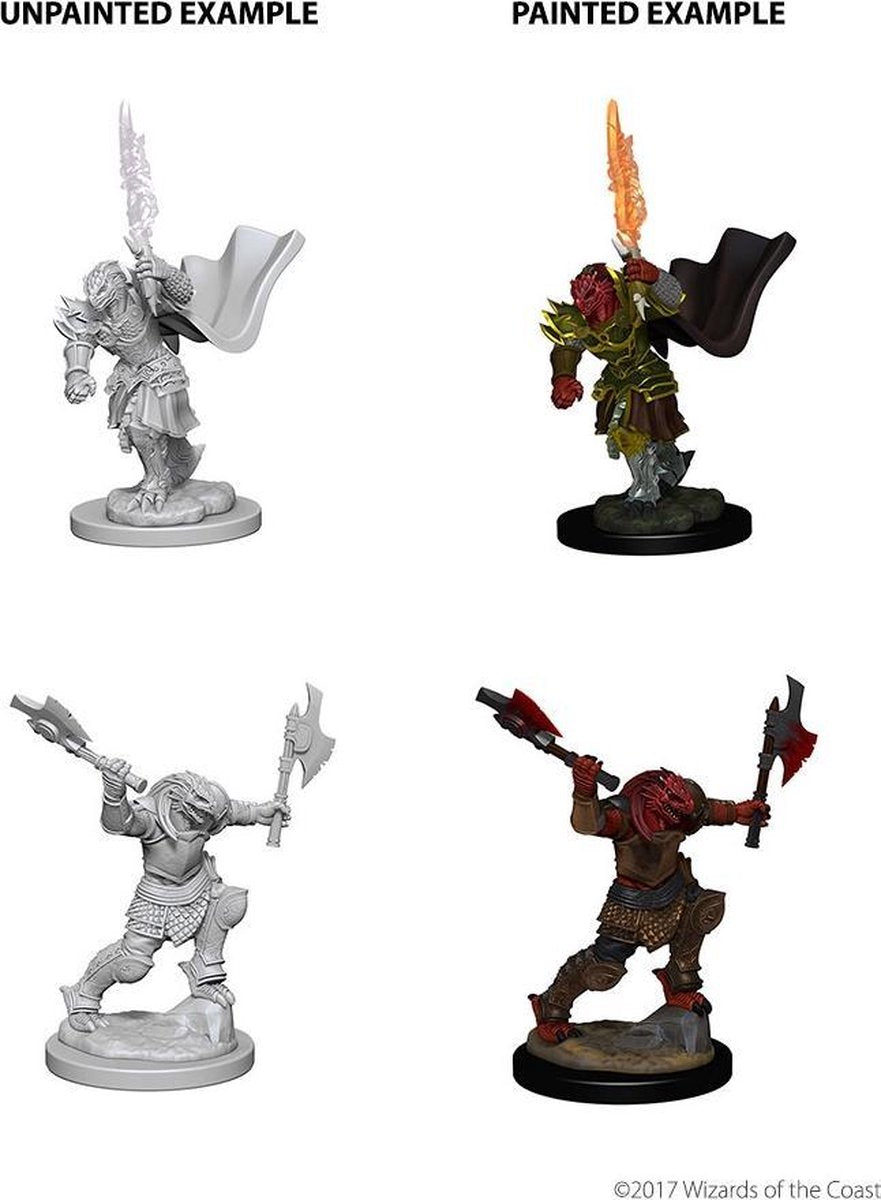 D&D Nolzur's Marvelous Miniatures: Dragonborn Fighter