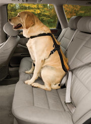 Kurgo Enhanced Strength Tru-Fit Dog Car Harness - Veiligheidsharnas