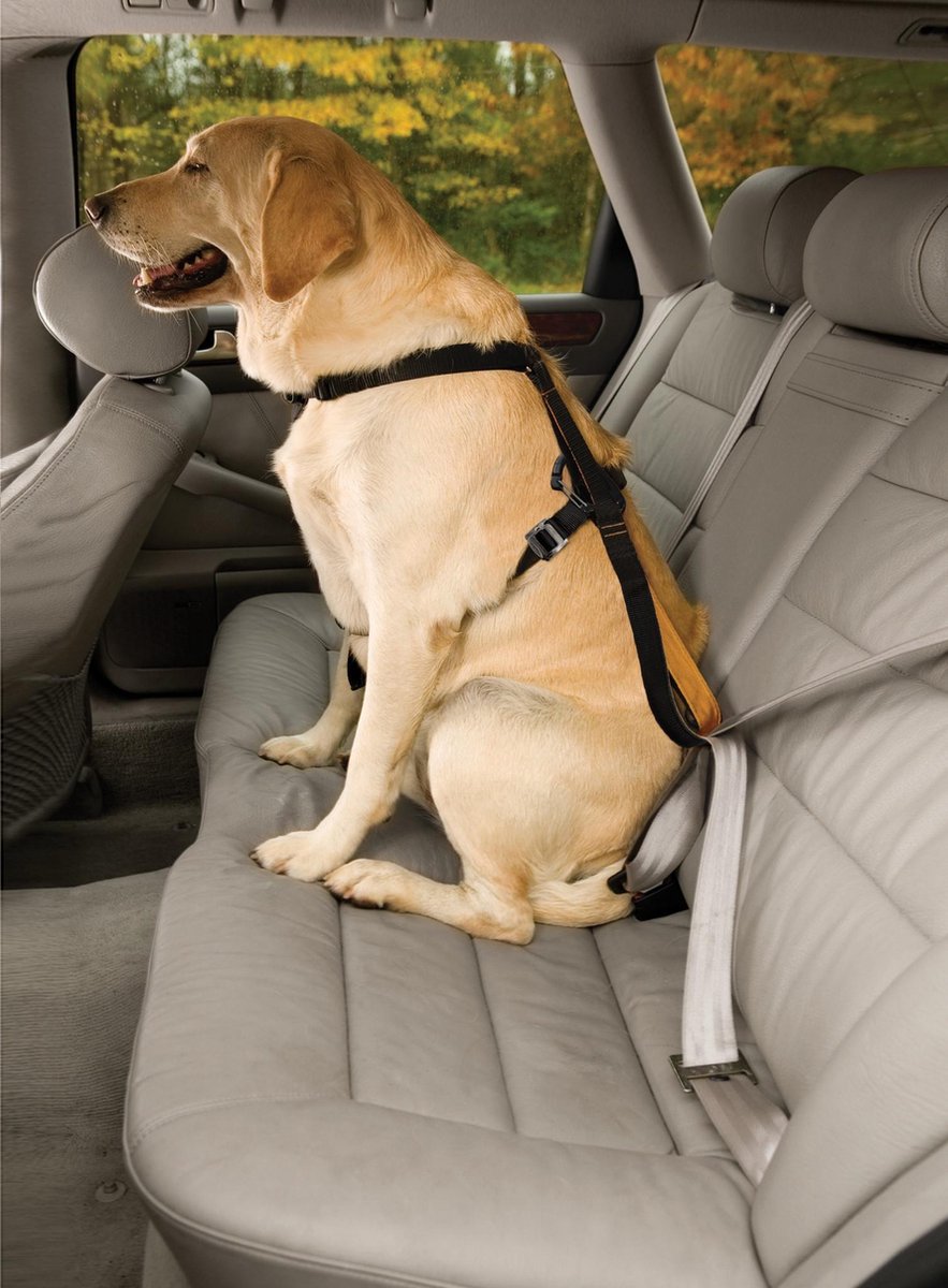 Kurgo Enhanced Strength Tru-Fit Dog Car Harness - Veiligheidsharnas