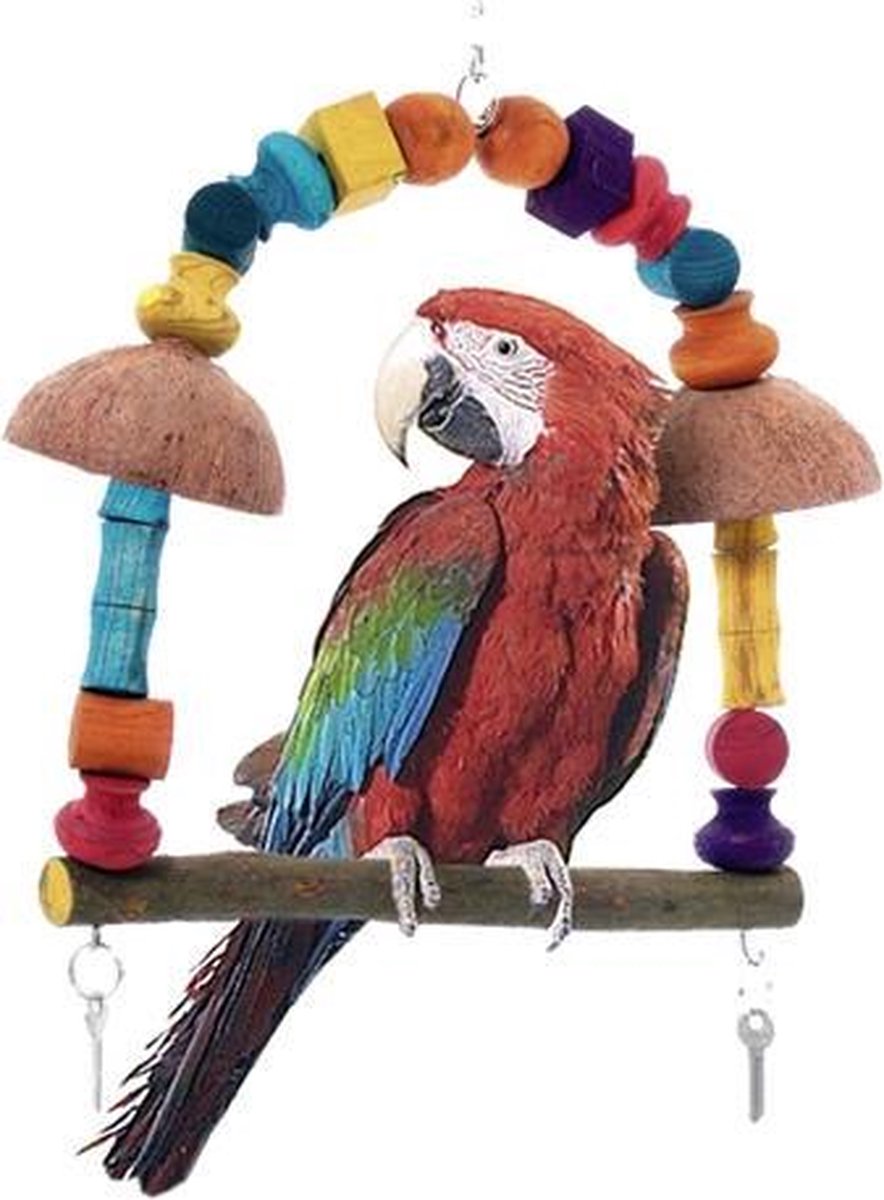 Parrot swing rio dejaneiro
