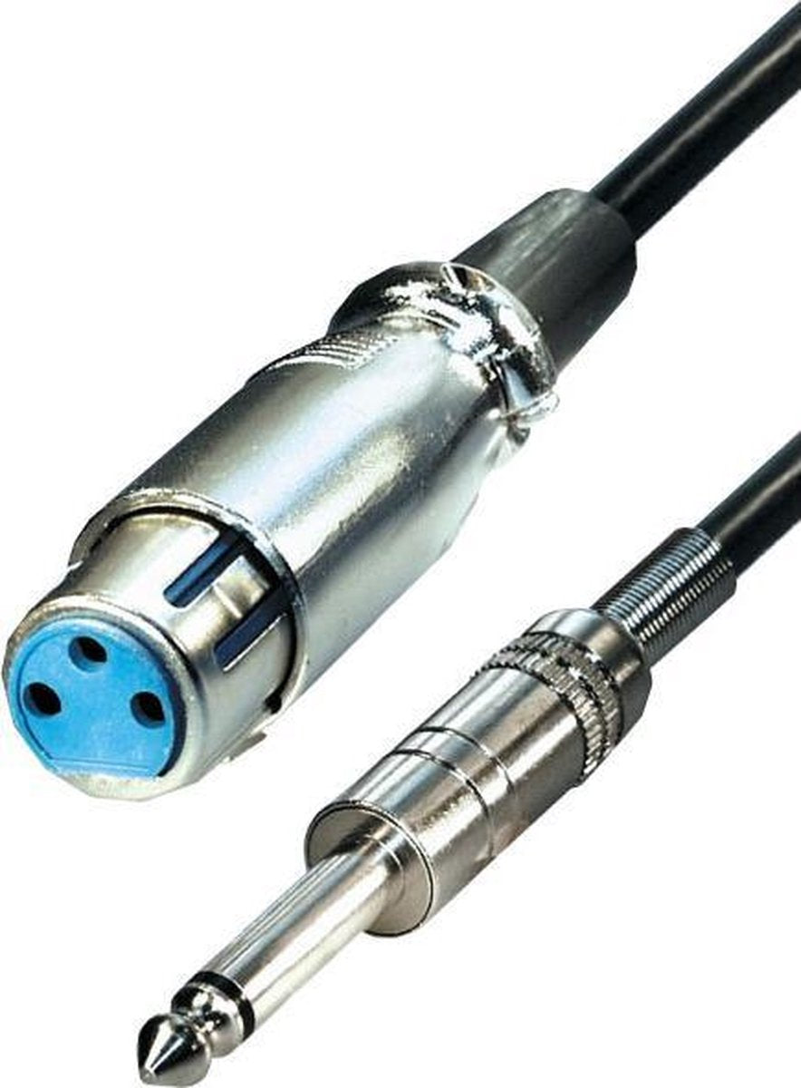 Transmedia XLR (v) - 6