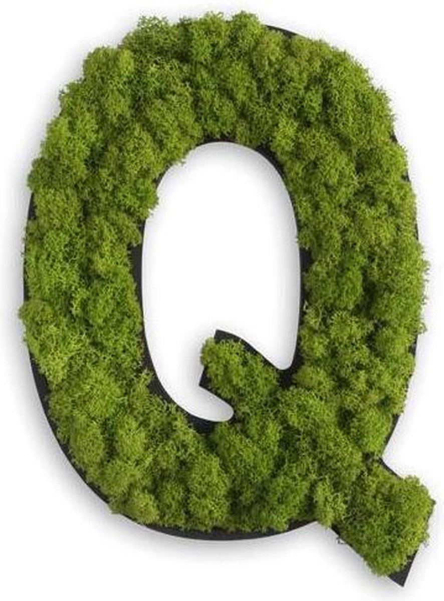 Stylegreen Alfabet letters A t/m Z - Reindeer moss - 25cm
