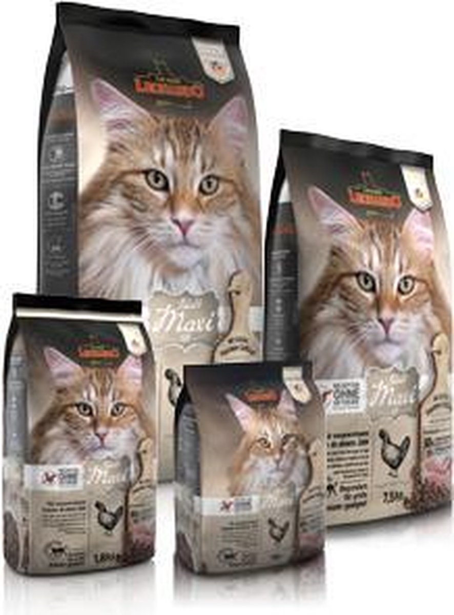 Leonardo Adult Maxi GF 300 gram