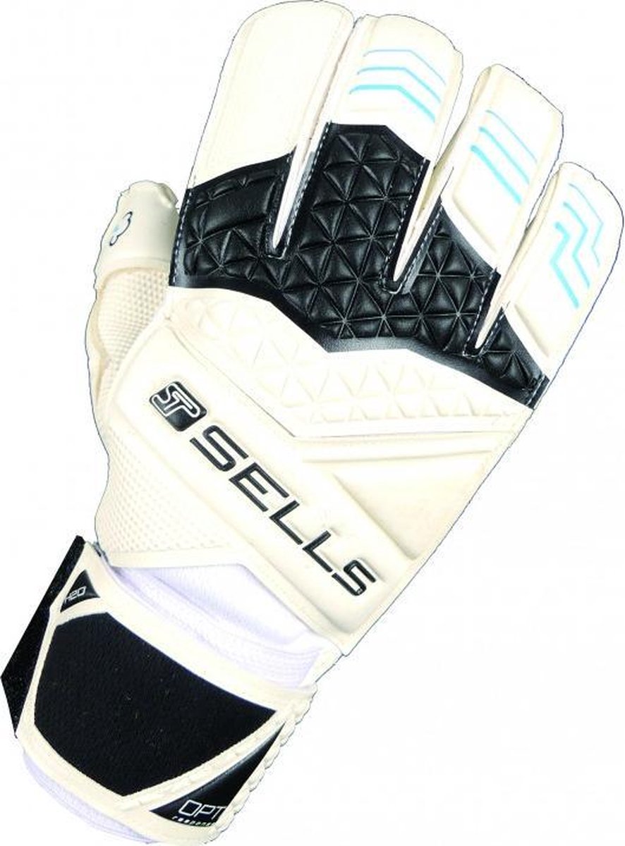 Sells Pro Total Contact H20