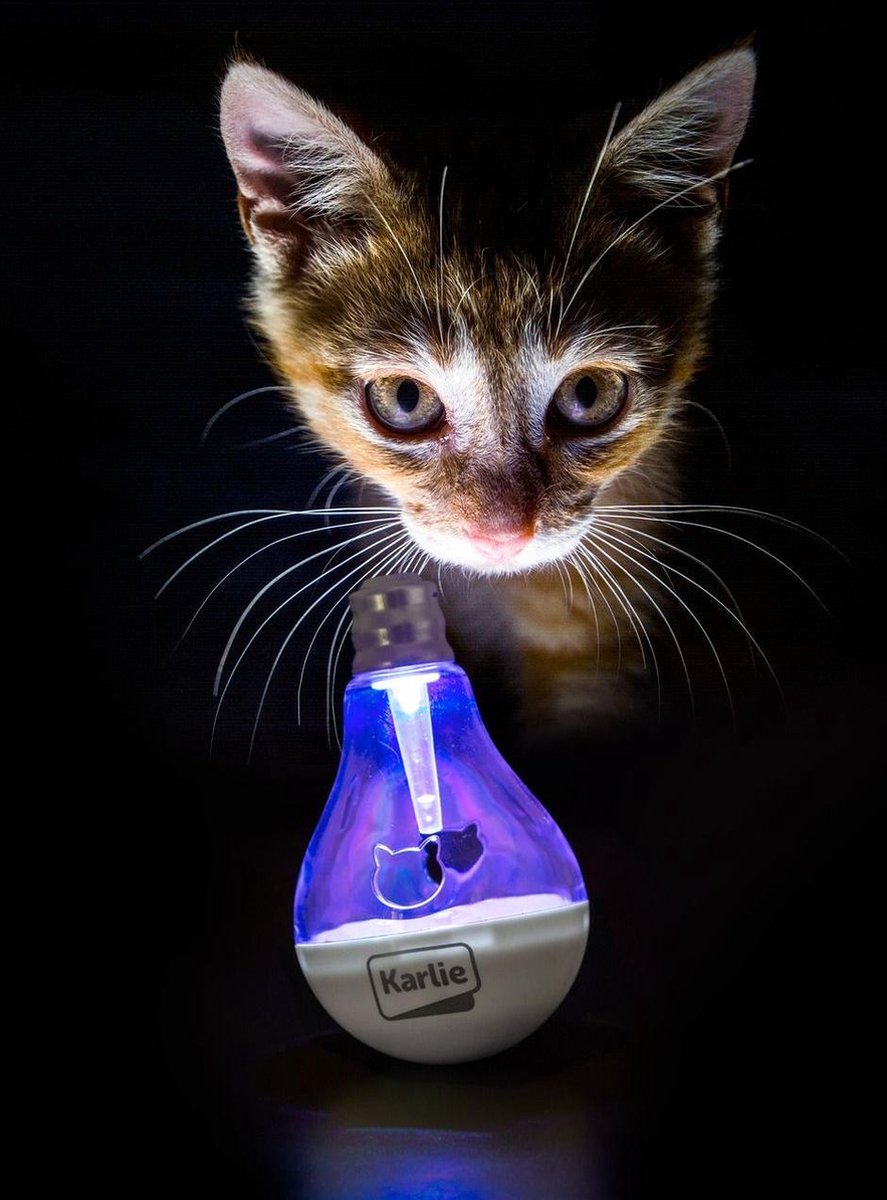 Cat treat bulb led