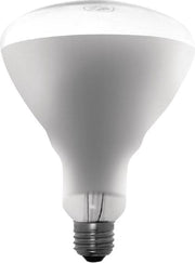 Buffalo warmtelamp 250W ES