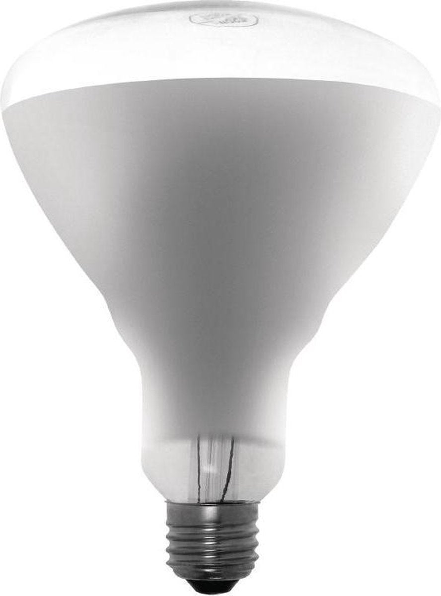 Buffalo warmtelamp 250W ES