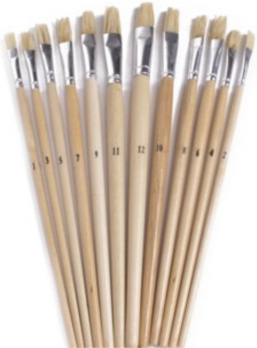 Penseelset 12dlg plat