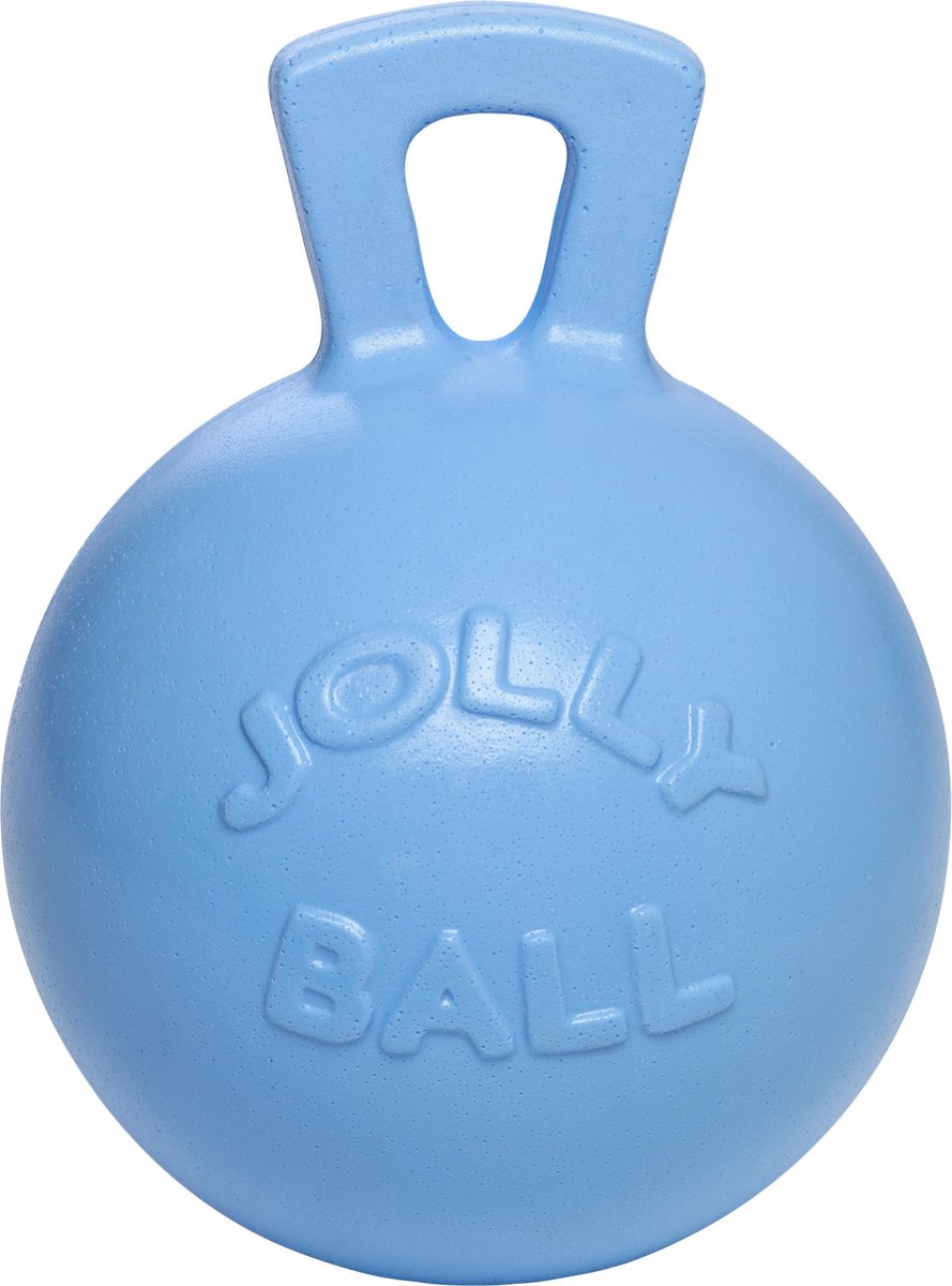 Jolly Ball Bosbessengeur - Lichtblauw - 25 cm