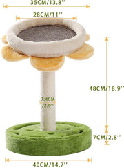TBG Leuke Cactus Huisdier Krabpaal Speelgoed met Bal Krabpalen voor Katten Kitten Klimmen Boom Kat Speelgoed Beschermen Meubels Snelle levering AMT0076YE