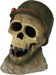 Auqa Della Soldaten schedel 7