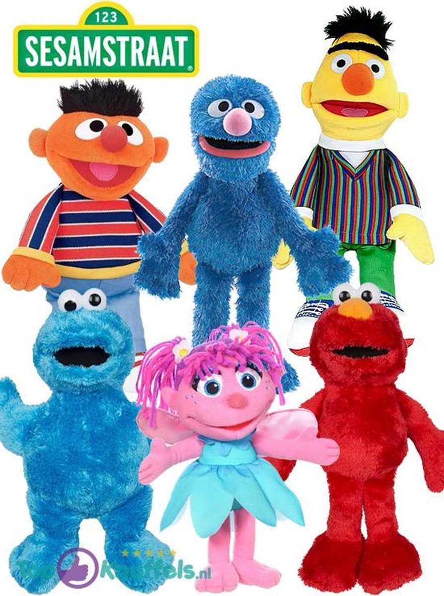 Sesamstraat Familie Pluche Knuffel Set van 6 Stuks! (30 cm) | Sesame Street Peluche Plush Toy | Speelgoed knuffelpop knuffeldier voor kinderen | Sesam Straat Bert
