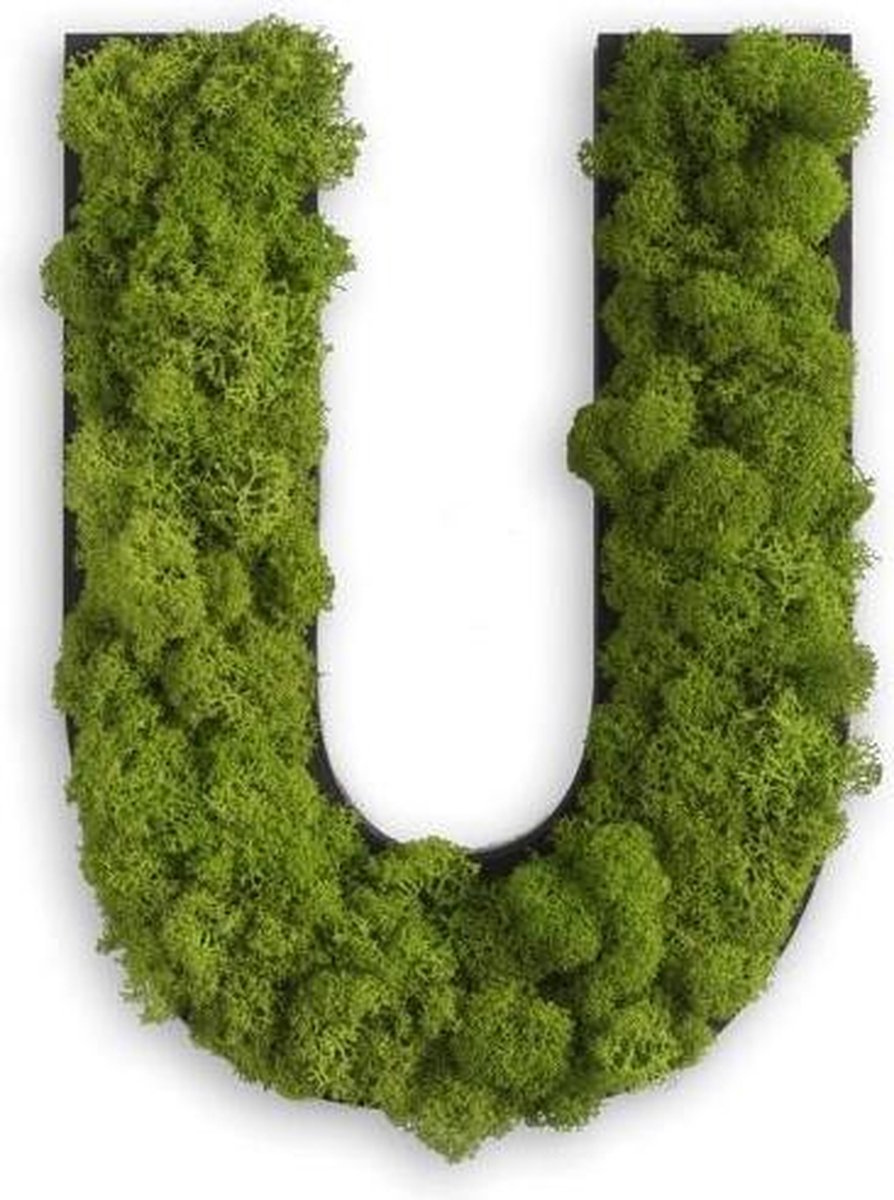 Stylegreen Alfabet letters A t/m Z - Reindeer moss - 25cm