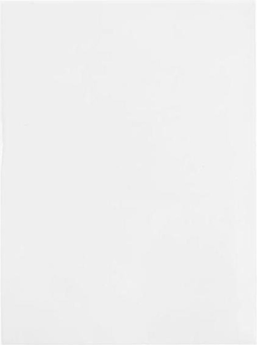 Milieuvriendelijke Zakjes 138x186mm - 100 st