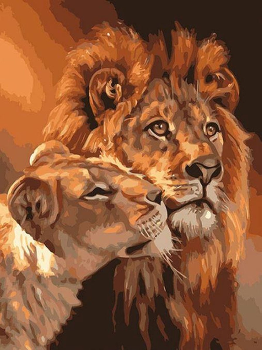 Paint By Numbers - Schilderen op Nummer - Leeuw & Leeuwin - 50x40cm - Volwassenen & Kinderen - Stipco