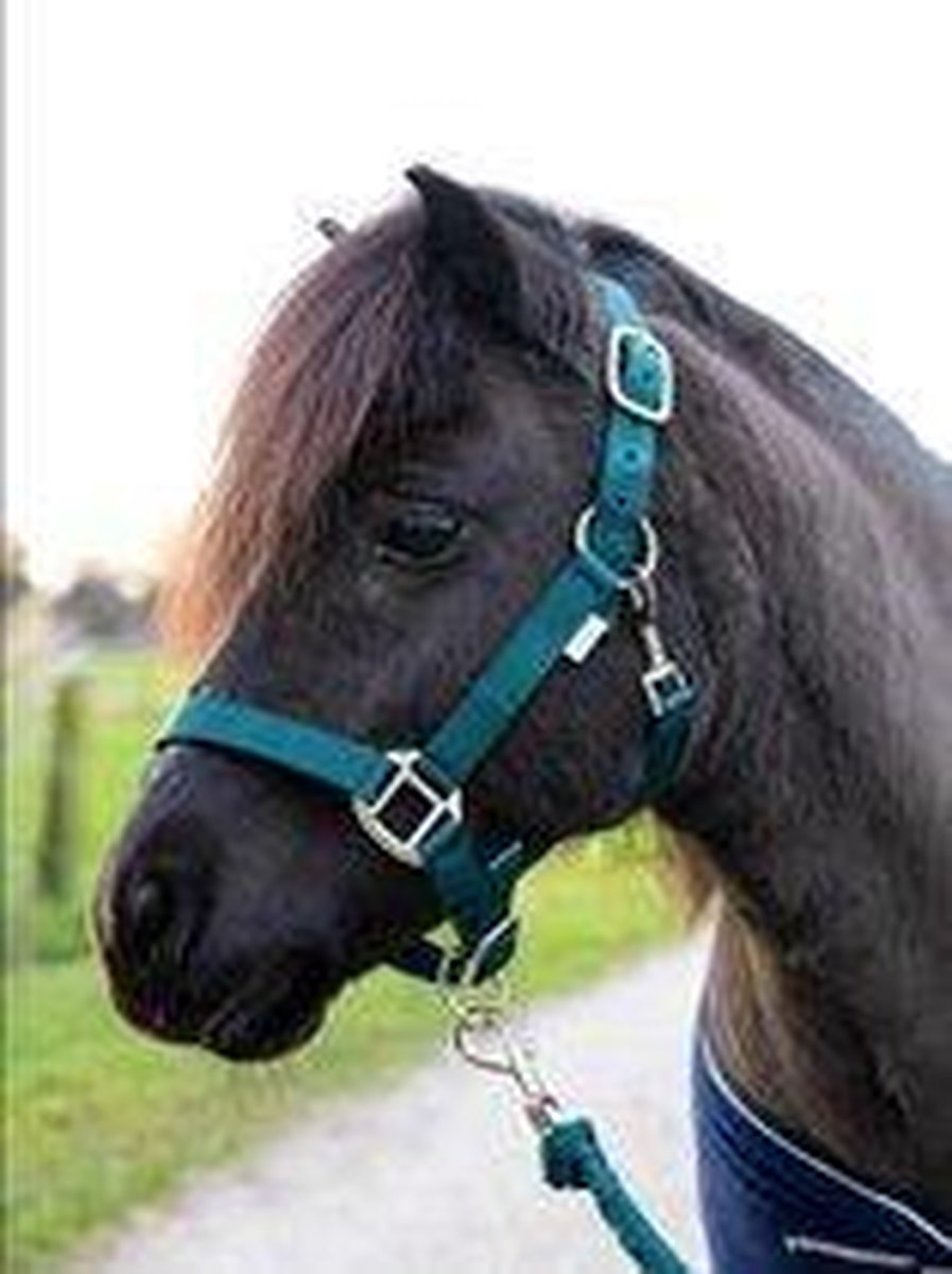 G-Horse | Halsterset met touw | Cob | Groen